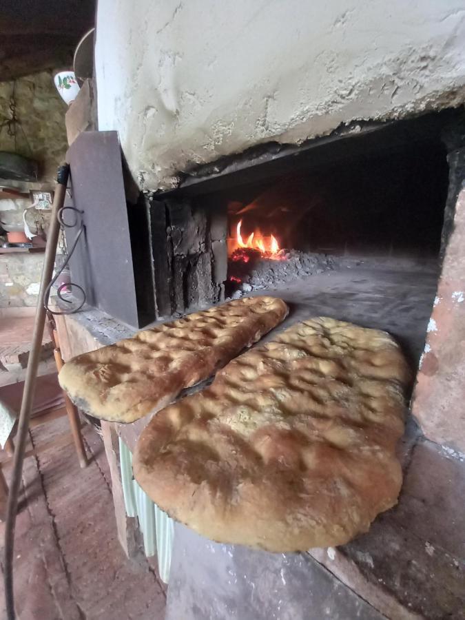 Casa Lalla Livorno Zewnętrze zdjęcie